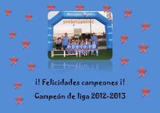 ¡! Felicidades campeones ¡!
Campeón de liga 2012-2013
 