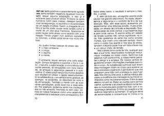 Felicidade  um trabalho interior