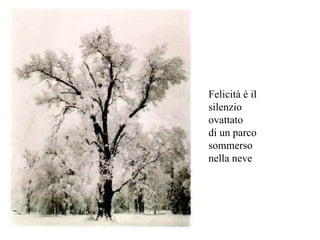 Felicità è il silenzio ovattato  di un parco sommerso nella neve 