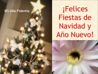 ¡Felices Fiestas de Navidad y Año Nuevo! IES Ulia Fidentia 