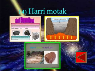 14) Harri motak
 