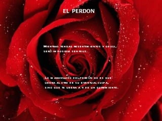 EL  PERDON Mientras tengas resentimientos y odios, será imposible ser feliz. Lo maravilloso del perdón no es que libera al otro de su eventual culpa,  sino que te libera a ti de un sufrimiento. 