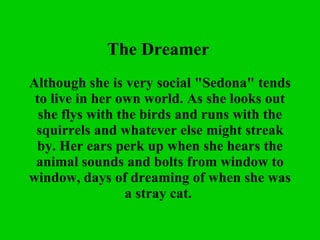 The Dreamer   Although she is very social "Sedona" tends to live in her own world. As she looks out she flys with the birds and runs with the squirrels and whatever else might streak by. Her ears perk up when she hears the animal sounds and bolts from window to window, days of dreaming of when she was a stray cat.  