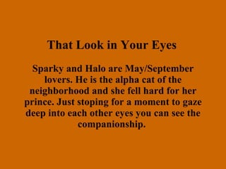 That Look in Your Eyes   Sparky and Halo are May/September lovers. He is the alpha cat of the neighborhood and she fell hard for her prince. Just stoping for a moment to gaze deep into each other eyes you can see the companionship.   