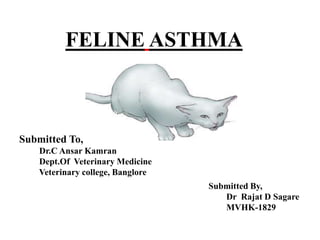FELINE ASTHMA
Submitted To,
Dr.C Ansar Kamran
Dept.Of Veterinary Medicine
Veterinary college, Banglore
Submitted By,
Dr Rajat D Sagare
MVHK-1829
 