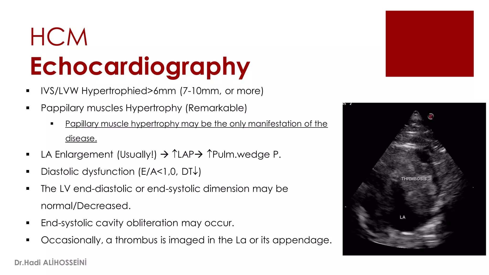 Felidae visual data 7