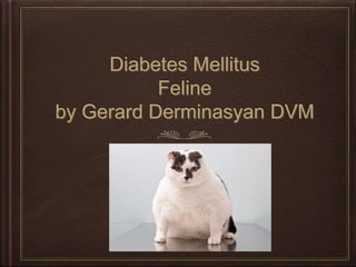 Diabetes Mellitus
Feline
by Gerard Derminasyan DVM
 