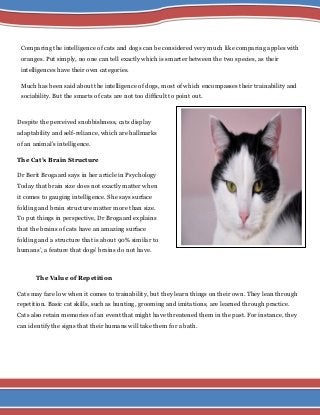 11 Cat Brain Facts: Feline Intelligence Explained – AHJNN