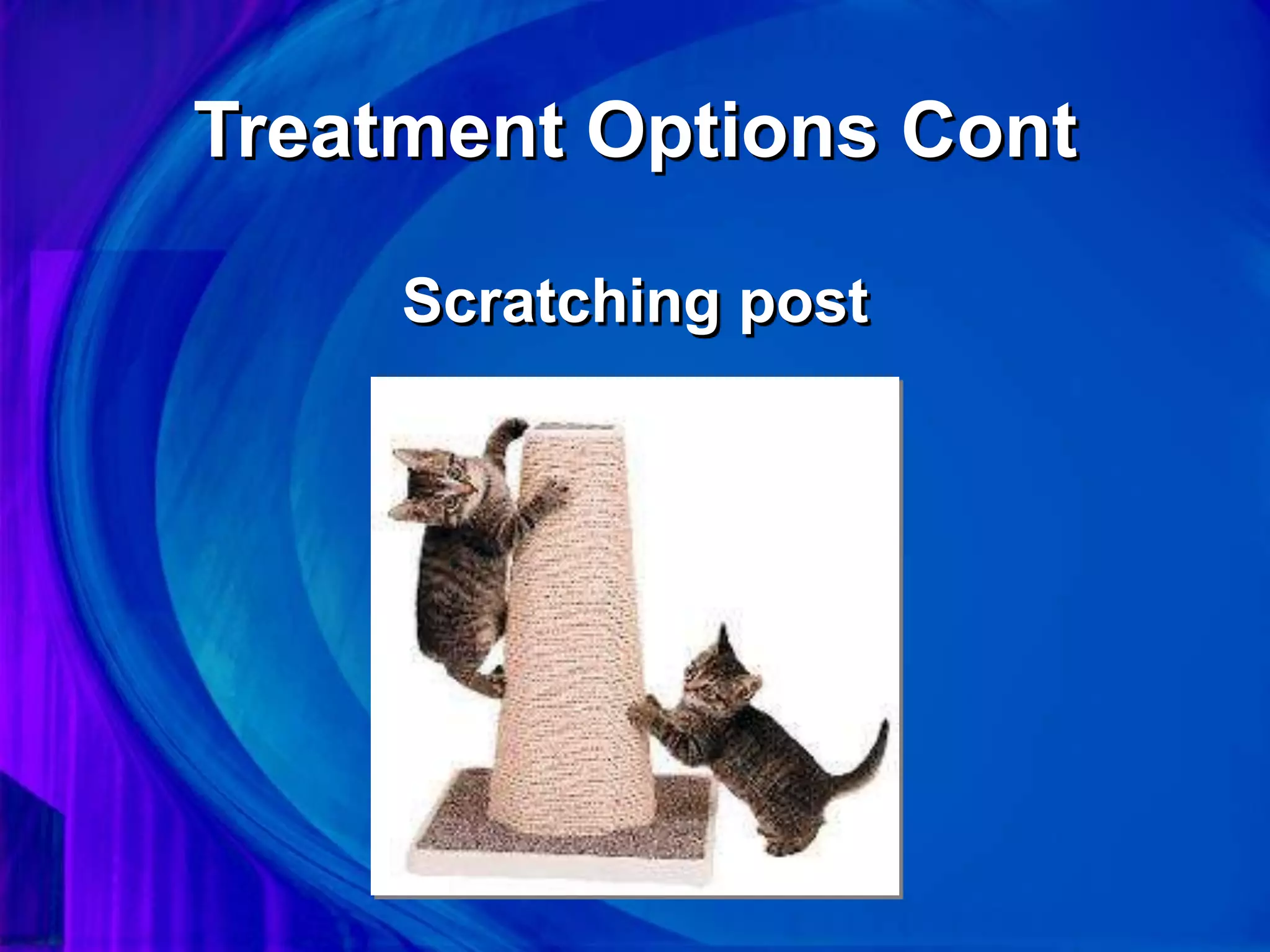 Treatment Options Cont
Scratching post
 