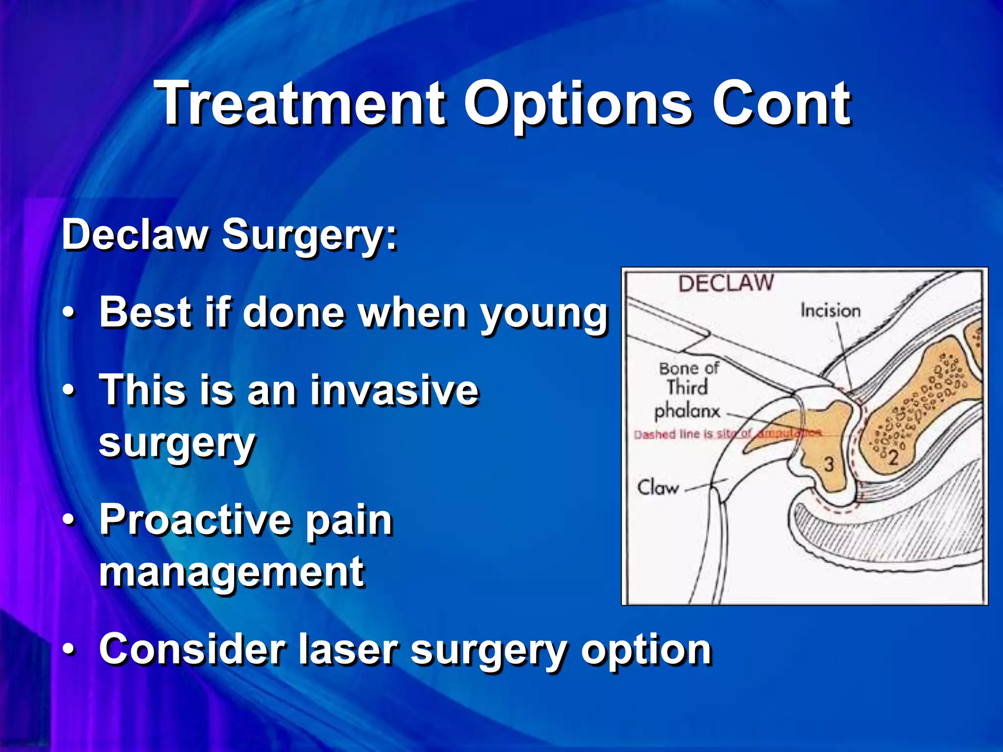 Declaw Surgery:
• Best if done when young
• This is an invasive
surgery
• Proactive pain
management
• Consider laser surgery option
Treatment Options Cont
 