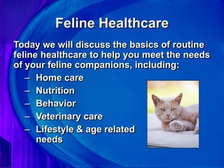 Photo inspiration: Fresh Look at Feline Healthcare Ppt