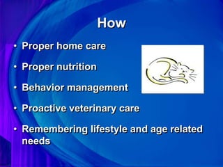Feline_Healthcare.ppt