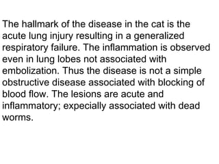 The hallmark of the disease in the cat is the acute lung injury resulting in a generalized respiratory failure. The inflammation is observed even in lung lobes not associated with embolization. Thus the disease is not a simple obstructive disease associated with blocking of blood flow. The lesions are acute and inflammatory; expecially associated with dead worms. 
