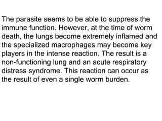 The parasite seems to be able to suppress the immune function. However, at the time of worm death, the lungs become extremely inflamed and the specialized macrophages may become key players in the intense reaction. The result is a non-functioning lung and an acute respiratory distress syndrome. This reaction can occur as the result of even a single worm burden. 