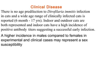 Clinical Disease There is no age predilection to  Dirofilaria immitis  infection in cats and a wide age range of clinically infected cats is reported (6 month - 17 yrs). Indoor and outdoor cats are both represented and indoor cats have a high incidence of positive antibody titers suggesting a successful early infection.   A higher incidence in males compared to females in experimental and clinical cases may represent a sex susceptibility .  