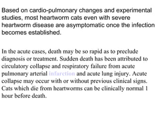 Based on cardio-pulmonary changes and experimental studies, most heartworm cats even with severe heartworm disease are asymptomatic once the infection becomes established.  In the acute cases, death may be so rapid as to preclude diagnosis or treatment. Sudden death has been attributed to circulatory collapse and respiratory failure from acute pulmonary arterial  infarction  and acute lung injury. Acute collapse may occur with or without previous clinical signs. Cats which die from heartworms can be clinically normal 1 hour before death.  