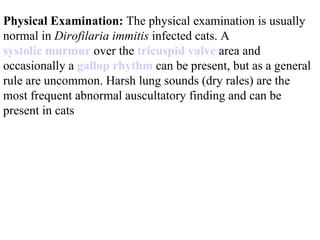 Physical Examination:  The physical examination is usually normal in  Dirofilaria immitis  infected cats. A  systolic murmur  over the  tricuspid valve  area and occasionally a  gallop rhythm  can be present, but as a general rule are uncommon. Harsh lung sounds (dry rales) are the most frequent abnormal auscultatory finding and can be present in cats  