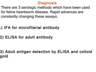 Diagnosis  There are 3 serologic methods which have been used for feline heartworm disease. Rapid advances are constantly changing these assays.  1 ) IFA for microfilarial antibody 2) ELISA for adult antibody 3) Adult antigen detection by ELISA and colloid gold 
