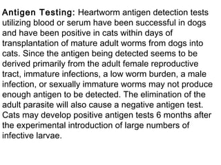 Antigen Testing:  Heartworm antigen detection tests utilizing blood or serum have been successful in dogs and have been positive in cats within days of transplantation of mature adult worms from dogs into cats. Since the antigen being detected seems to be derived primarily from the adult female reproductive tract, immature infections, a low worm burden, a male infection, or sexually immature worms may not produce enough antigen to be detected. The elimination of the adult parasite will also cause a negative antigen test. Cats may develop positive antigen tests 6 months after the experimental introduction of large numbers of infective larvae.  