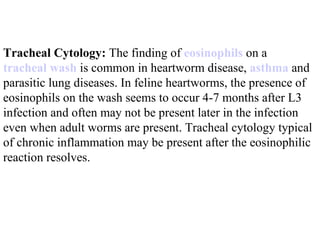 Tracheal Cytology:  The finding of  eosinophils  on a  tracheal wash  is common in heartworm disease,  asthma  and parasitic lung diseases. In feline heartworms, the presence of eosinophils on the wash seems to occur 4-7 months after L3 infection and often may not be present later in the infection even when adult worms are present. Tracheal cytology typical of chronic inflammation may be present after the eosinophilic reaction resolves.  