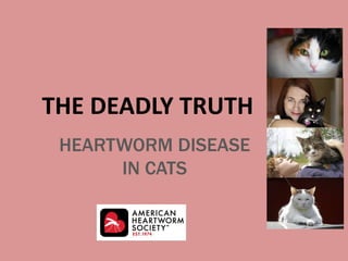 The Deadly Truth about Heartworm in Cats | PPTX