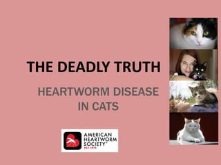 HEARTWORM DISEASE
IN CATS
THE DEADLY TRUTH
 