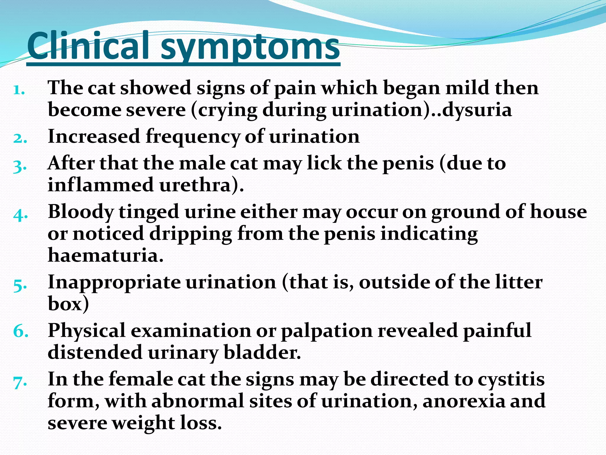 Fresh Look at Feline Urological Syndrome 2018