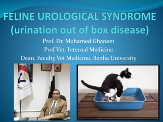 Prof. Dr. Mohamed Ghanem
Prof Vet. Internal Medicine
Dean, Faculty Vet Medicine, Benha University
 