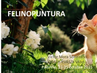 FELINOPUNTURA
Víctor Mora Solórzano
16Th ItVAS/X VAM
Palermo, 23-25 octubre 2015
 