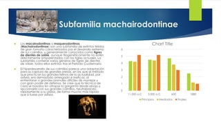 Subfamilia machairodontinae
 Los macairodontinos o maquerodontinos
(Machairodontinae) son una subfamilia de extintos félidos
de gran tamaño caracterizados por el desarrollo extremo
de sus colmillos, y generalmente conocidos como tigres
de dientes de sable, aunque filogenéticamente no estén
directamente emparentados con los tigres actuales. La
subfamilia contiene varios géneros de tigres de dientes
de sable, todos ellos extintos tras el Período Cuaternario.
 El hiperdesarrollo de sus colmillos parece una adaptación
para la captura de grandes presas, en las que el método
que practican los grandes felinos de la actualidad, por
asfixia, era demasiado arriesgado e ineficaz, al
enfrentarse a grandes animales difíciles de manejar y
con gran poder de defensa. Se cree que la técnica de
caza se basaba en atrapar la garganta desde abajo y
seccionarla con sus grandes colmillos, neutralizando
rápidamente a su presa, de forma mucho más rápida
que si fuese por asfixia.
0
1
2
3
4
5
6
11.000 a.C 5.000 a.C 600 1880
Chart Title
Principios Mediados Finales
 