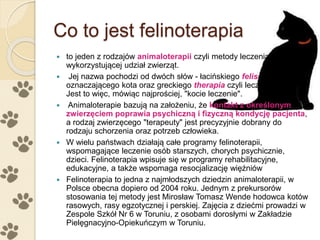 Co to jest felinoterapia
 to jeden z rodzajów animaloterapii czyli metody leczenia
wykorzystującej udział zwierząt.
 Jej nazwa pochodzi od dwóch słów - łacińskiego felis
oznaczającego kota oraz greckiego therapia czyli leczenie.
Jest to więc, mówiąc najprościej, "kocie leczenie".
 Animaloterapie bazują na założeniu, że kontakt z określonym
zwierzęciem poprawia psychiczną i fizyczną kondycję pacjenta,
a rodzaj zwierzęcego "terapeuty" jest precyzyjnie dobrany do
rodzaju schorzenia oraz potrzeb człowieka.
 W wielu państwach działają całe programy felinoterapii,
wspomagające leczenie osób starszych, chorych psychicznie,
dzieci. Felinoterapia wpisuje się w programy rehabilitacyjne,
edukacyjne, a także wspomaga resocjalizację więźniów
 Felinoterapia to jedna z najmłodszych dziedzin animaloterapii, w
Polsce obecna dopiero od 2004 roku. Jednym z prekursorów
stosowania tej metody jest Mirosław Tomasz Wende hodowca kotów
rasowych, rasy egzotycznej i perskiej. Zajęcia z dziećmi prowadzi w
Zespole Szkół Nr 6 w Toruniu, z osobami dorosłymi w Zakładzie
Pielęgnacyjno-Opiekuńczym w Toruniu.
 