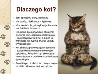 Dlaczego kot?
 Jest spokojny, cichy, delikatny
 Ma bardzo niski tonus mięśniowy
 Mruczenie kota, jak wykazują badania
ma działanie lecznicze
 Głaskanie kota powoduje obniżenie
ciśnienia krwi, poziomu cholesterolu
i trójglicerydów we krwi, a przez to
zmniejsza się ryzyko chorób układu
krwionośnego.
 Kot zbiera z powietrza jony dodatnie
- szkodliwe dla układu nerwowego
człowieka. Potrafi on np. skutecznie
neutralizować szkodliwe promieniowania
żył wodnych,
 Potrafi wyczuć chore lub bolące miejsce
na ciele człowieka i uśmierzyć ból
 