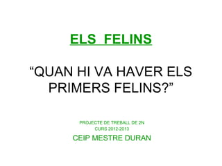 ELS FELINS
“QUAN HI VA HAVER ELS
PRIMERS FELINS?”
PROJECTE DE TREBALL DE 2N
CURS 2012-2013
CEIP MESTRE DURAN
 