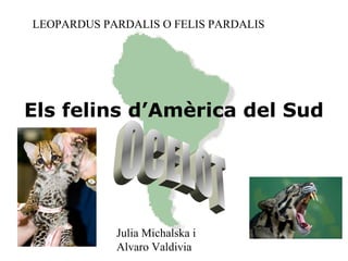 Els felins d’Amèrica del Sud
LEOPARDUS PARDALIS O FELIS PARDALIS
Julia Michalska i
Alvaro Valdivia
 