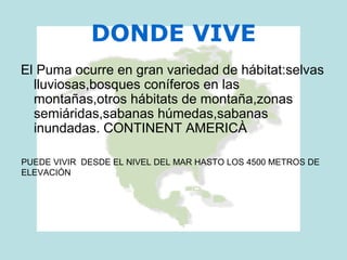 DONDE VIVE
El Puma ocurre en gran variedad de hábitat:selvas
lluviosas,bosques coníferos en las
montañas,otros hábitats de montaña,zonas
semiáridas,sabanas húmedas,sabanas
inundadas. CONTINENT AMERICÀ
PUEDE VIVIR DESDE EL NIVEL DEL MAR HASTO LOS 4500 METROS DE
ELEVACIÓN
 
