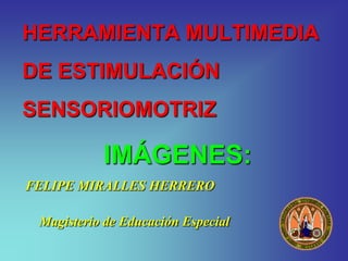 HERRAMIENTA MULTIMEDIA
DE ESTIMULACIÓN
SENSORIOMOTRIZ

           IMÁGENES:
FELIPE MIRALLES HERRERO

 Magisterio de Educación Especial
 