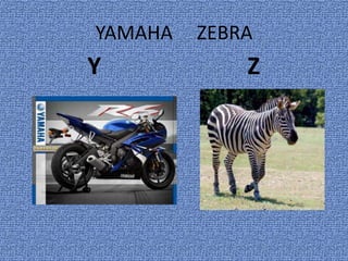 YAMAHA ZEBRA
Y Z
 