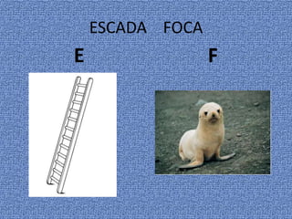 ESCADA FOCA
E F
 