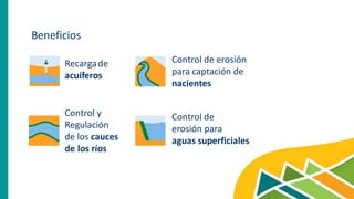 Beneficios
Recargade
acuíferos
Control de erosión
para captación de
nacientes
Control y
Regulación
de los cauces
de los ríos
Control de
erosión para
aguas superficiales
 