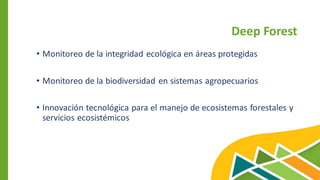 Deep Forest
• Monitoreo de la integridad ecológica en áreas protegidas
• Monitoreo de la biodiversidad en sistemas agropecuarios
• Innovación tecnológica para el manejo de ecosistemas forestales y
servicios ecosistémicos
 
