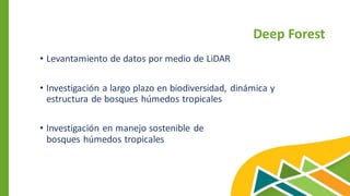 Deep Forest
• Levantamiento de datos por medio de LiDAR
• Investigación a largo plazo en biodiversidad, dinámica y
estructura de bosques húmedos tropicales
• Investigación en manejo sostenible de
bosques húmedos tropicales
 