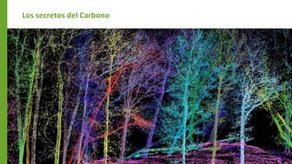 Los secretos del Carbono
 