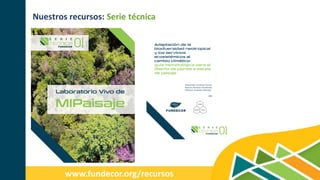 Nuestros recursos: Serie técnica
www.fundecor.org/recursos
 