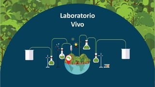 Laboratorio
Vivo
 
