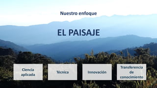 Nuestro enfoque
EL PAISAJE
Innovación
Ciencia
aplicada
Técnica
Transferencia
de
conocimiento
 