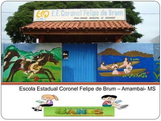 Escola Estadual Coronel Felipe de Brum – Amambai- MS
 