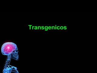Transgenicos 