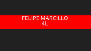 FELIPE MARCILLO
4L
 