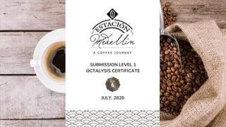 SUBMISSION LEVEL 1
OCTALYSIS CERTIFICATE
JULY, 2020
 