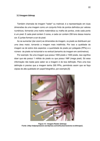 22

3.3 Imagem bitmap

Também chamada de imagem "raster" ou matricial, é a representação em duas
dimensões de uma imagem como um conjunto finito de pontos definidos por valores
numéricos, formando uma matriz matemática ou malha de pontos, onde cada ponto
é um pixel. E cada pixel contem 3 cores, e cada cor contem 256 tons dessa mesma
cor. E juntas formam a cor do pixel.
Ao se aumentar (dar zoom) as dimensões da imagem, os pixels se distribuem por
uma área maior, tornando a imagem mais indefinida. Por isso a qualidade da
imagem se dá sobre dois aspectos: a quantidade de pixels por polegada (PPIs) e o
número de pixels na horizontal e na vertical (tamanho da imagem em centímetros).
Por exemplo: Se uma imagem que possui 1000 pixels x 1000 pixels, isso significa
dizer que ela possui 1 milhão de pixels ou que possui 1MP (mega pixel). Só essa
informação não basta para saber se a imagem é de boa definição. Para uma boa
definição é preciso que a imagem tenha 300 PPIs, permitindo assim que se faça
cópias de alta qualidade em papel fotográfico, por exemplo.[5]

Figura 12 - Imagem Raster (bitmap)
Fonte: (http://edpexpression.wordpress.com/articulos/vectores-vs-bitmaps/).

 